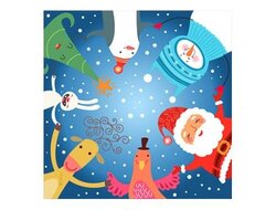 Produits entretien Kelnet MICROFIBRE Joyeuses Fêtes