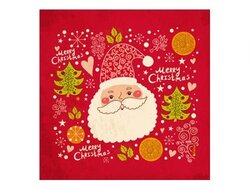 Produits entretien Kelnet MICROFIBRE Joyeuses Fêtes