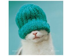 Produits entretien Kelnet MICROFIBRE Rachael Hale 2