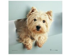 Produits entretien Kelnet MICROFIBRE Rachael Hale 2