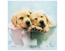 Produits entretien Kelnet MICROFIBRE Rachael Hale 2