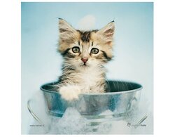 Produits entretien Kelnet MICROFIBRE Rachael Hale 2