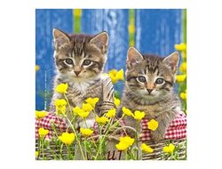 Produits entretien Kelnet MICROFIBRE Bébés Chatons