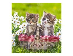 Produits entretien Kelnet MICROFIBRE Bébés Chatons