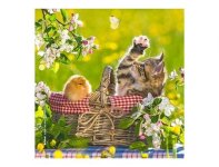 MICROFIBRE Bébés Chatons