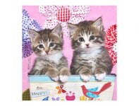 MICROFIBRE Bébés Chatons