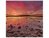 MICROFIBRE Horizons 2