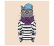 MICROFIBRE Zanimaux