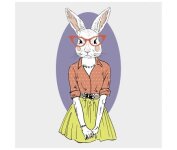MICROFIBRE Zanimaux