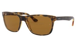 Lunettes de soleil Rayban RB4181