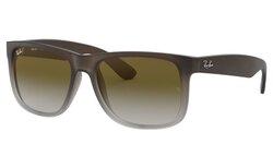 Lunettes de soleil Rayban RB4165