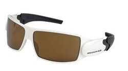 Lunettes de soleil Salomon Bubble 0302