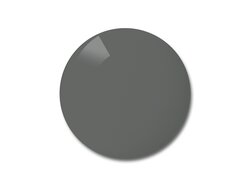 Verres solaires Michael-Kors Organique Gris Polarisé T3
