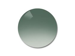 Verres solaires Michael-Kors Organique Dégradé Olive 8E