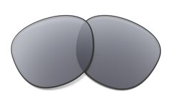Verres solaires Oakley Grey Polarized