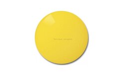 Verres de remplacement Persol Crystal Photochromique yellow 4A